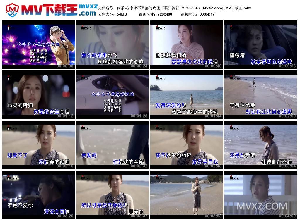 雨柔-心中永不凋落的玫瑰_国语_流行_MB208348